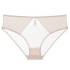 Sexy Underwear Thin Transparent Mesh Lifting Hip Women's Underwear Cotton Crotch Breathable Low Waist Triangle Pants
