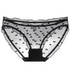 Sexy Women's French Ultra-thin Transparent Mesh Lace Underwear with Pure Cotton Crotch, Butt-lifting Low Waist Triangle Pants