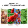 Plant Growth Nutrition Sustained-Release Tablet, Fruit And Vegetable Plant Pot Root Growth Universal Nutrition Tablet