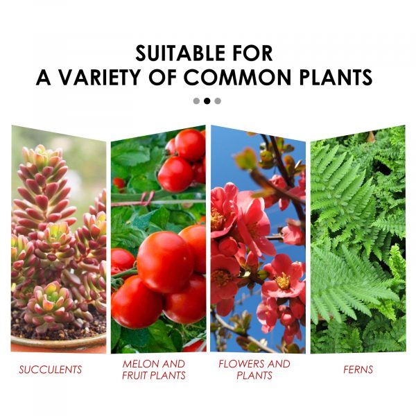 Plant Growth Nutrition Sustained-Release Tablet, Fruit And Vegetable Plant Pot Root Growth Universal Nutrition Tablet