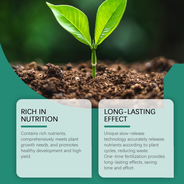 MoonSpry Plant Growth Fertilizer Stick Slow-Release Fertilizer Nutrient Seaweed Fertilizer Plant Growth Horticultural Fertilizer Stick