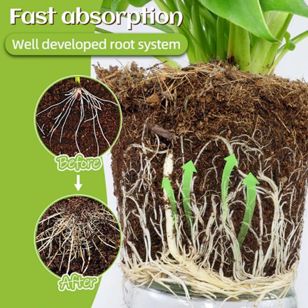 MoonSpry Plant Catalyst Stick, Plant Fruit And Vegetable Pot Flower Bud Flower Hair Root Growth Fertilizer Stick
