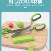 Five-Layer Scissors In Stock (Apple Green), Stainless Steel Multi-Layer Scissors, Shredded Paper, Scallion Scissors, Herb Scissors, Herbal Scissors, Vegetable Scissors