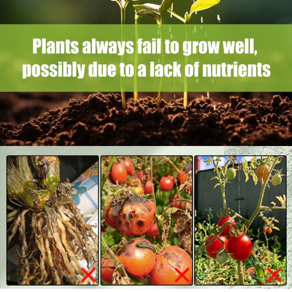 MoonSpry Plant Catalyst Stick, Plant Fruit And Vegetable Pot Flower Bud Flower Hair Root Growth Fertilizer Stick
