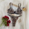 Sexy Leopard Print Pure Desire Style Thin Underwear Large Chest Minimizer Push-Up Bra and Thong Set