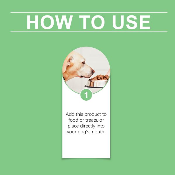 Yegbong Dog Supplement With Supplement Drops For Healthy Dog Skin To Promote Digestion And Enhance Immunity Dietary Supplement