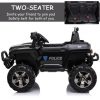 Truck Electric Car