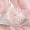 Cross-border Fresh Bra Lingerie Net Lace Embroidery Pure Desire Temptation Erotic Underwear with Steel Ring Gathering Set