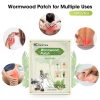 12pieces/Bag Foot Neck Knee Waist Massage Stickers Wormwood Natural Plant Self-heating Relief Joint Ache Pain Cinnamon Ginger
