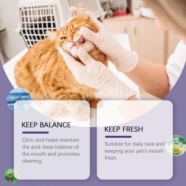 Yegbong Pet Oral Repair Gel, Pet Oral Cleaning And Tooth Stain Removal Yellow Daily Care Gel