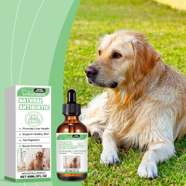 Yegbong Dog Supplement With Supplement Drops For Healthy Dog Skin To Promote Digestion And Enhance Immunity Dietary Supplement