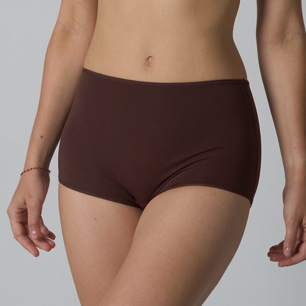 Cotton Boyshort Underwear Panties for Women