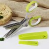 Five-Layer Scissors In Stock (Apple Green), Stainless Steel Multi-Layer Scissors, Shredded Paper, Scallion Scissors, Herb Scissors, Herbal Scissors, Vegetable Scissors