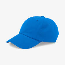 Autumn and winter baseball caps
