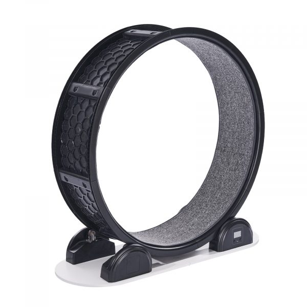 Cat Exercise Wheel With Pedometer Cat Treadmill For Pet Health Black