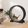 Cat Exercise Wheel With Pedometer Cat Treadmill For Pet Health Black