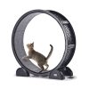 Cat Exercise Wheel With Pedometer Cat Treadmill For Pet Health Black