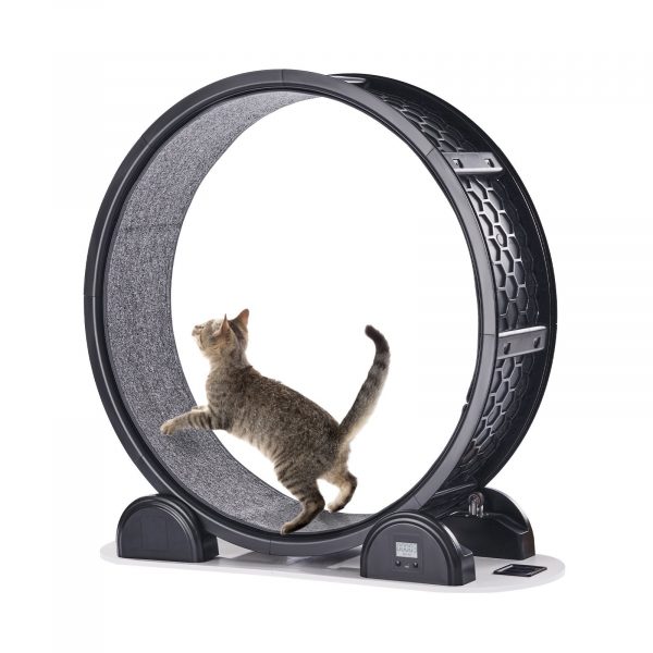 Cat Exercise Wheel With Pedometer Cat Treadmill For Pet Health Black